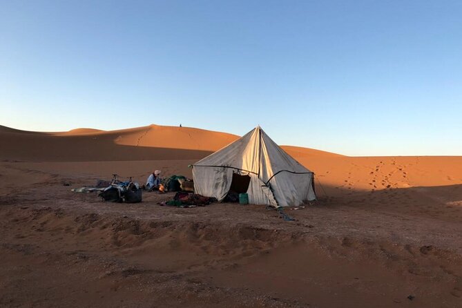 4 Day Private Desert Trek From MHamid to Chegaga - Highlights and Recommendations
