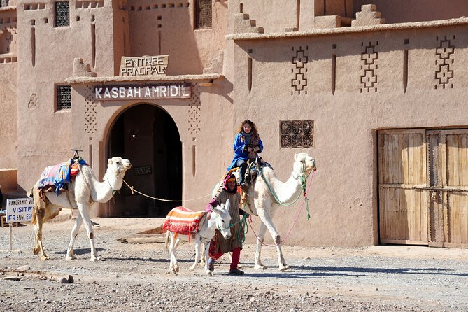 4-Day Private South Desert Tour From Agadir Ending in Marrakech - Additional Information for Travelers