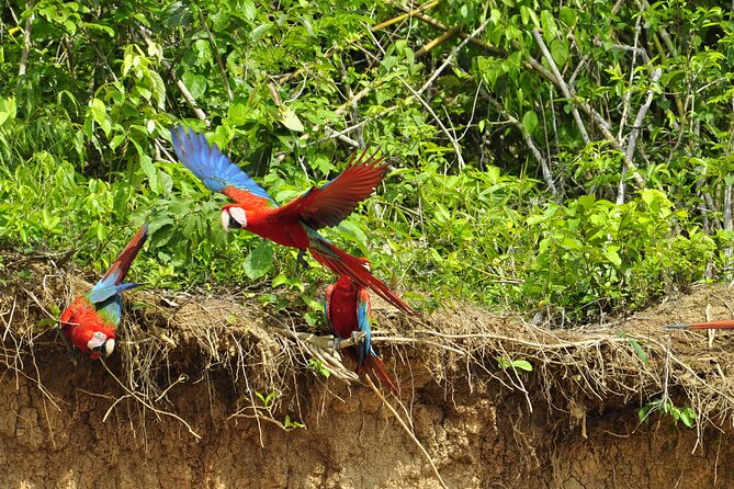 4-Day Private Tour to Manu National Park From Cusco - Transportation Logistics