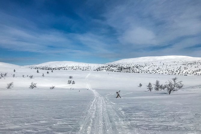 4-Day Small-Group Snowshoe Trek From Rovaniemi - Booking Information