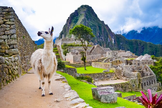 4-Day Tour in Cusco Sacred Valley Machu Picchu - Pickup and Meeting Instructions