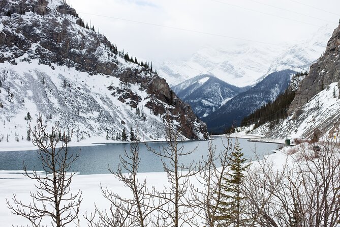 4 Days Winter Rockies Tour, Vancouver In Calgary Out - Booking Information