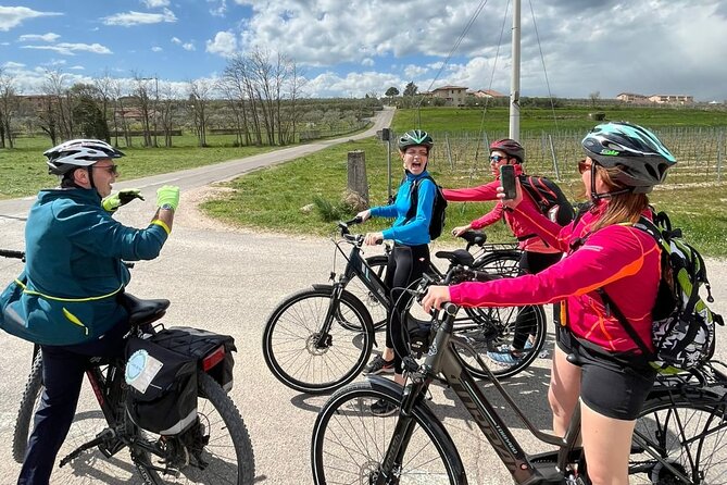 4-Hour Guided E-bike Tour of the Two Wineries in Bardolino - Local Guides