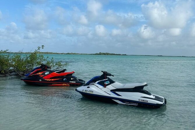 4-Hour Guided Jet Ski Tour to Secret Beach, San Pedro, Belize. - Pricing and Terms
