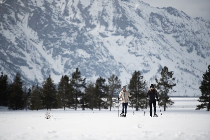 4 Hour Snowshoe in Grand Teton National Park - Snowshoeing Cancellation Policy