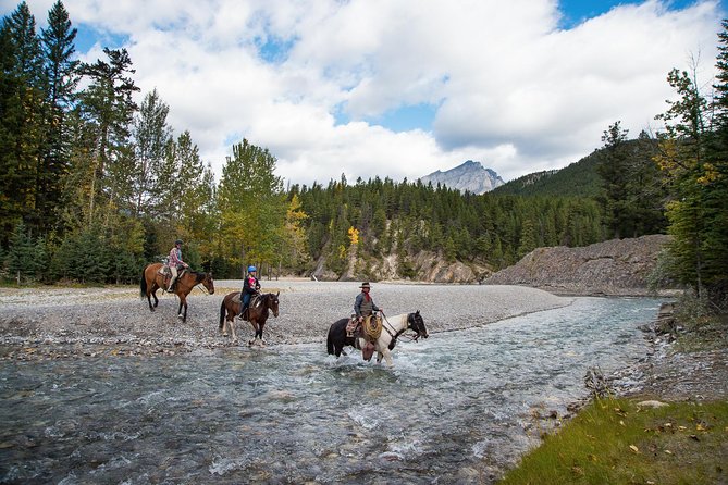 4 Hour Sulphur Mountain Horseback Ride - Traveler Reviews and Ratings