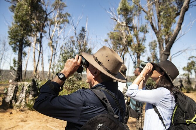 4Hrs at Wolgan Valley Birdwatching Experience - Expectations and Accessibility