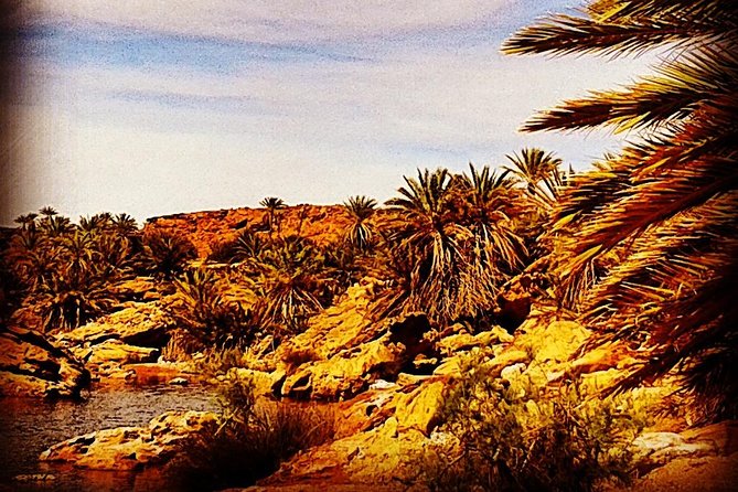 4x4 Excursion to Safsaf Wild Oasis With Traditional Berber Picnic - Pricing Information