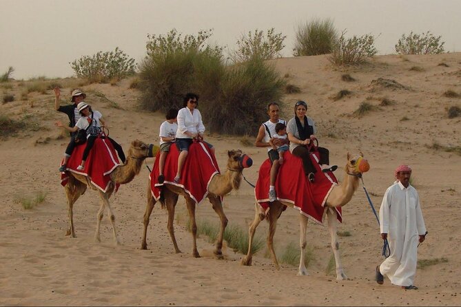4x4 Self-Drive Quad Bike Safari With Camel Riding - Camel Riding Adventure