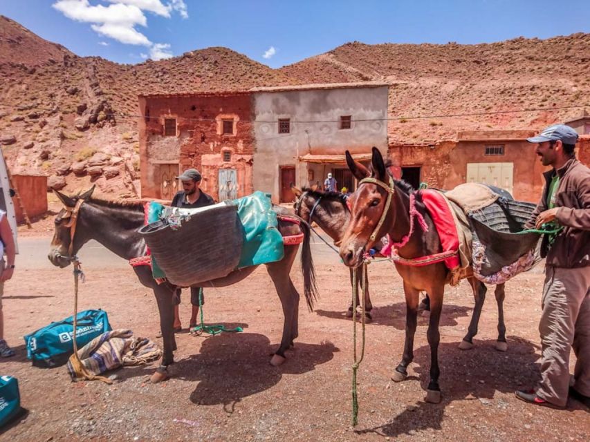 5 Day Combined Atlas Mountains and Sahara Desert Tour - Atlas Mountains Trek