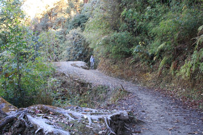5-Day Ghorepani Poon Hill Trek in Annapurna Region - Inclusions