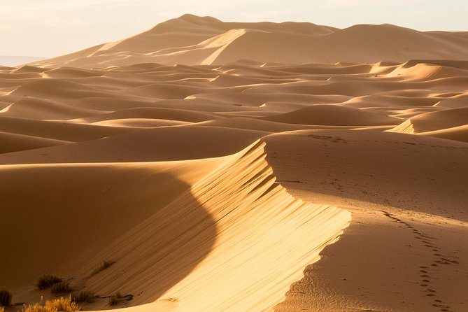 6 Days Trekking to the Heart of Desert - Wildlife Spotting Adventures