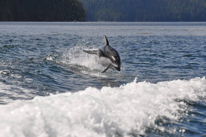 6 Hour Covered Boat Whale Watching Tour - Cancellation Policy