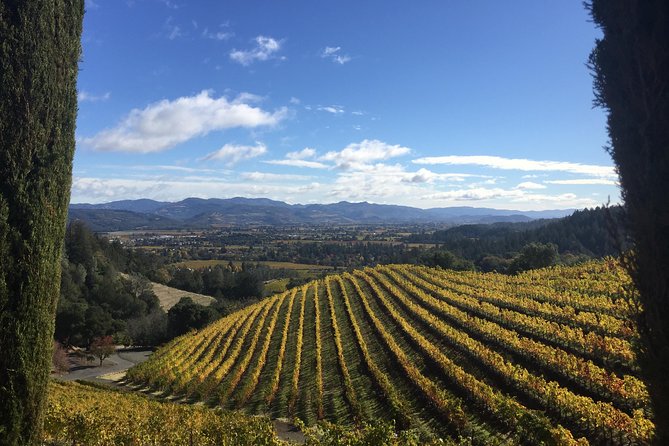 6-Hour Private Wine Country Tour of Napa Valley (Up to 6 People) in Large SUV - Additional Information
