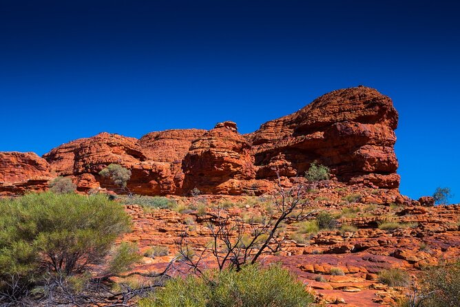 7-Day Guided Tour of Alice Springs With Accommodation Included - Inclusions and Amenities