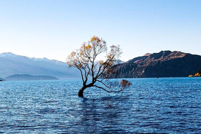 7 Day South Island Lick Tour - Day 3: Adventure in Fiordland National Park