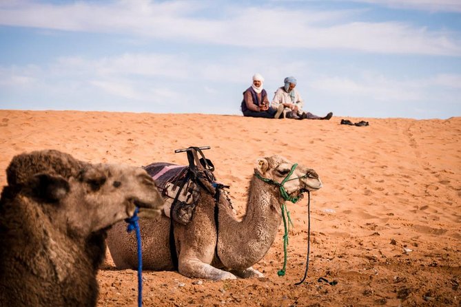 7-Day Tour From Marrakech - Transportation Logistics