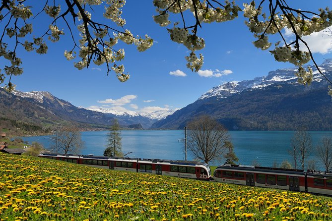 8-Day Grand Train Tour of Switzerland Self-Guided From Geneva - Booking Details