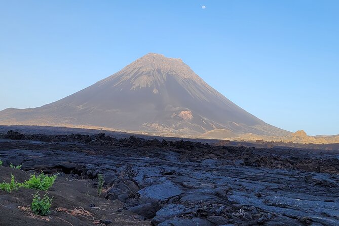 A 1-Day Experience Through the Fogo Volcano - Additional Information and Policies