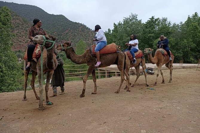 A Day in the High Atlas and Discovery of Berber Culture - Traditional Berber Cultural Experiences