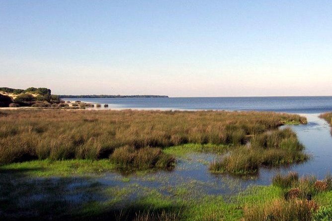 A Day Through the Doñana National Park and the Village of Rocio - Experience Duration