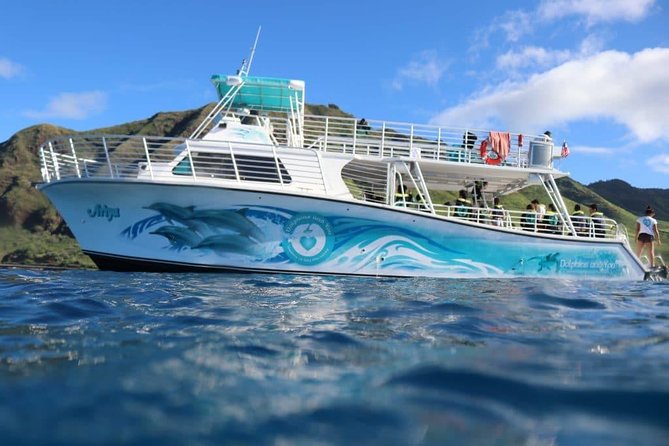A Legal Private Dolphin Swim With Sea-Slide, Upto 15 Passengers - Cancellation Policy