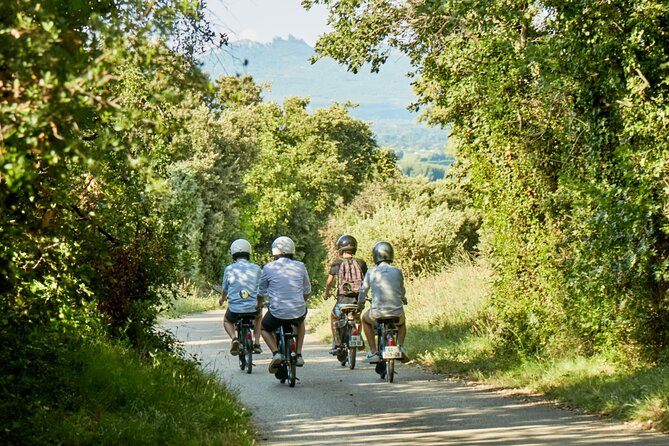 A Tour in Provence in a Typical French Motorized Bike : the Solex - Taking in Provences Culture on a Solex