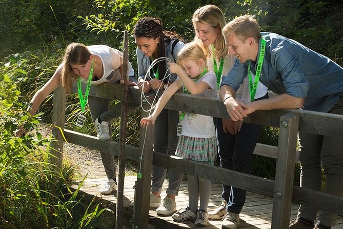 Aargau Foxtrail Moated Castle Short - Route Highlights and Challenges