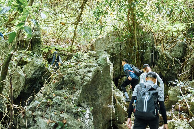 Abandoned Valley Adventure - E Cave & Golden Cave - 1D - Pickup and Transportation