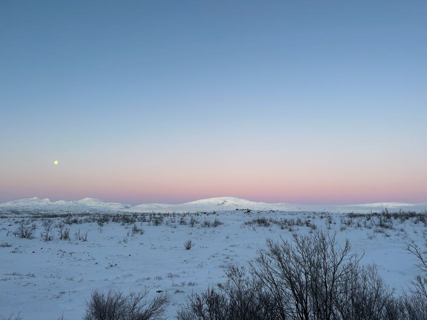 Abisko: Guided Sunrise Morning Hike With Hot Chocolate - Activity Highlights