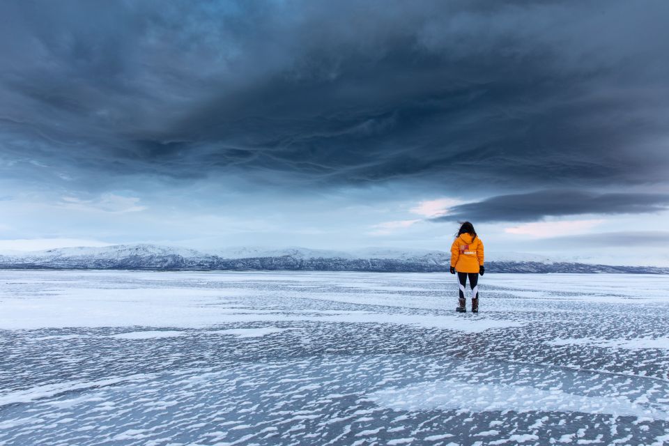 Abisko National Park: Scenic Morning Hike With Transfer - Review Summary