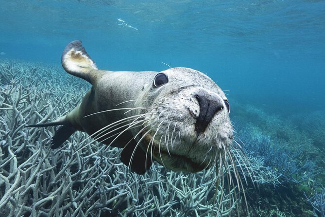 Abrolhos Island Scenic Flight And Snorkel Adventure From Perth - Meeting Point Details