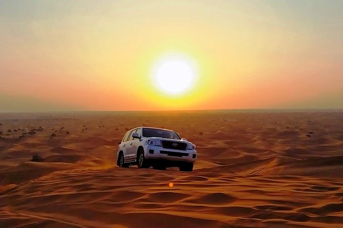 Abu Dhabi Desert Safari 4x4, BBQ Dinner, Camel Ride - Special Features
