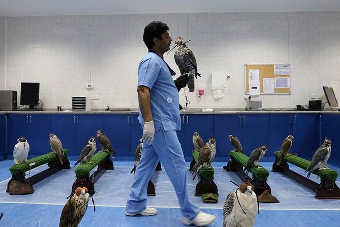 Abu Dhabi Falcon Hospital Tour - Experience Insights