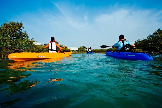 Abu Dhabi Mangrove Kayaking Tour - Positive Reviews and Highlights