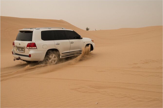 Abu Dhabi Morning Desert Safari - Private Car - Inclusions and Amenities