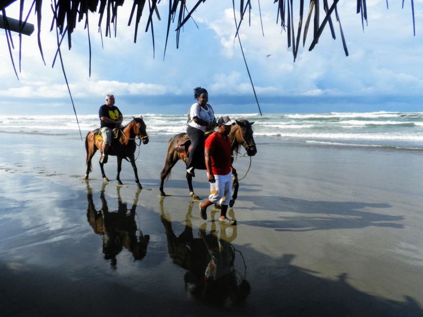 Acapulco: Gentle Beach Horse Riding Tour on Barra Vieja - Inclusions