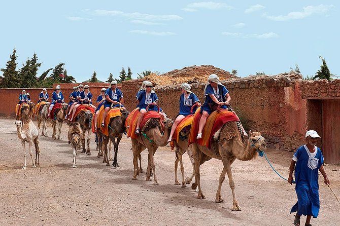 Activities in Marrakech Camel Ride Tour in Palm Grove - Traveler Reviews and Ratings