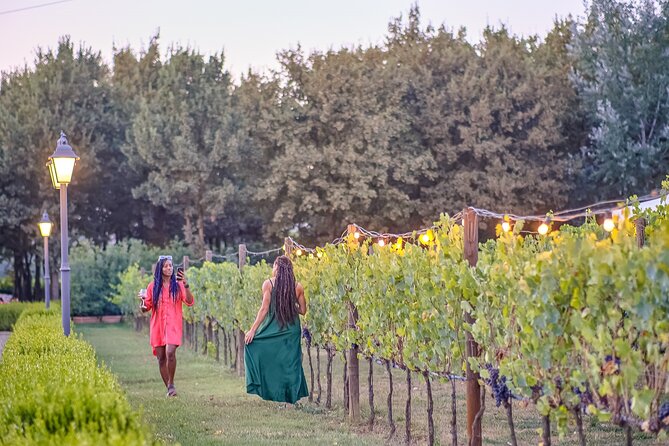 Afternoon in Siena and Chianti Wine Tour With Dinner From Florence - Group Dynamics Observations