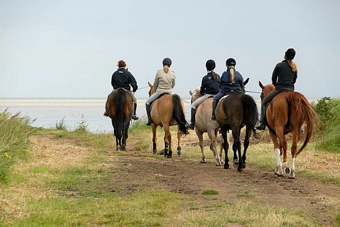 Agadir 2-Hour Private Horse Riding Experience With Pickup - Important Information for Participants