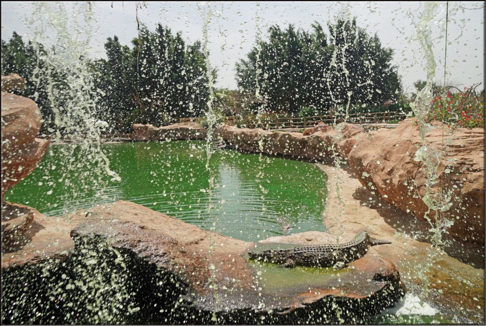 Agadir: Agadir Crocodile Park Adventure - Park Description