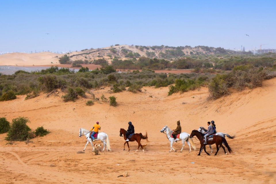Agadir: Beach and Ranch Horse Riding Tour - Highlights