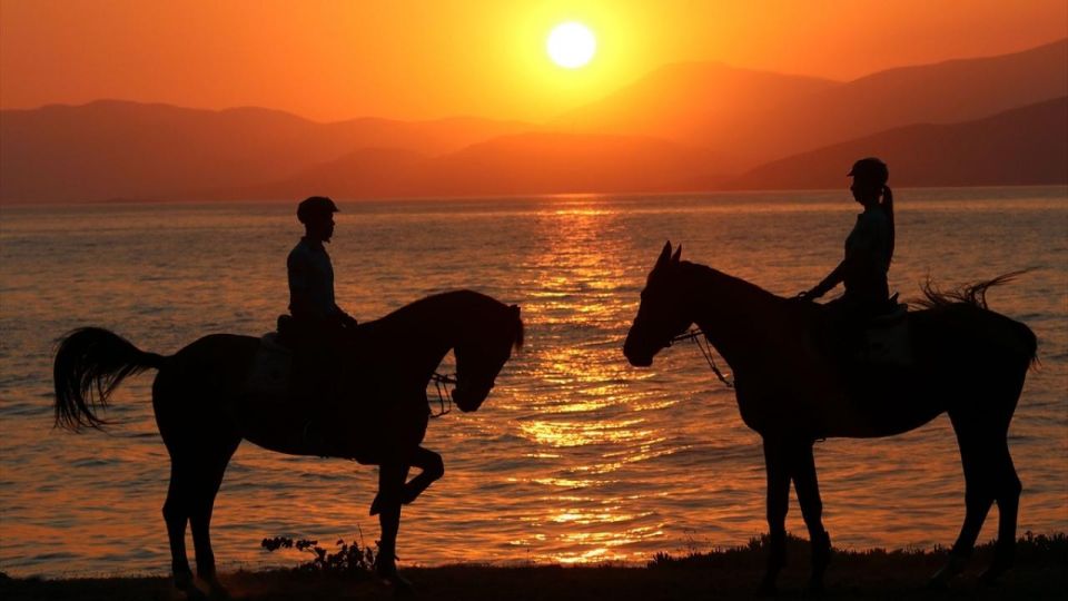 Agadir: Beach Horse Riding Tour - Customer Reviews