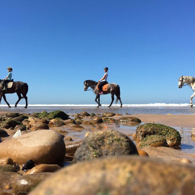 Agadir: Beach Sunset Horse Riding Tour With Transfer - Activity Description