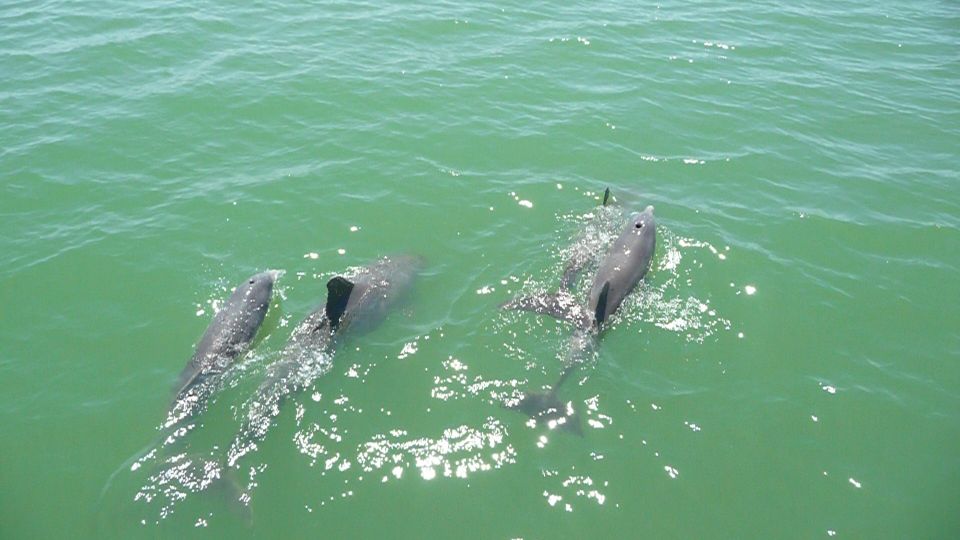 Agadir Boat Trip Fishing & Swimming Adventure - Inclusions