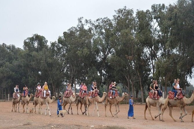 Agadir Camel Ride Experience - Additional Information