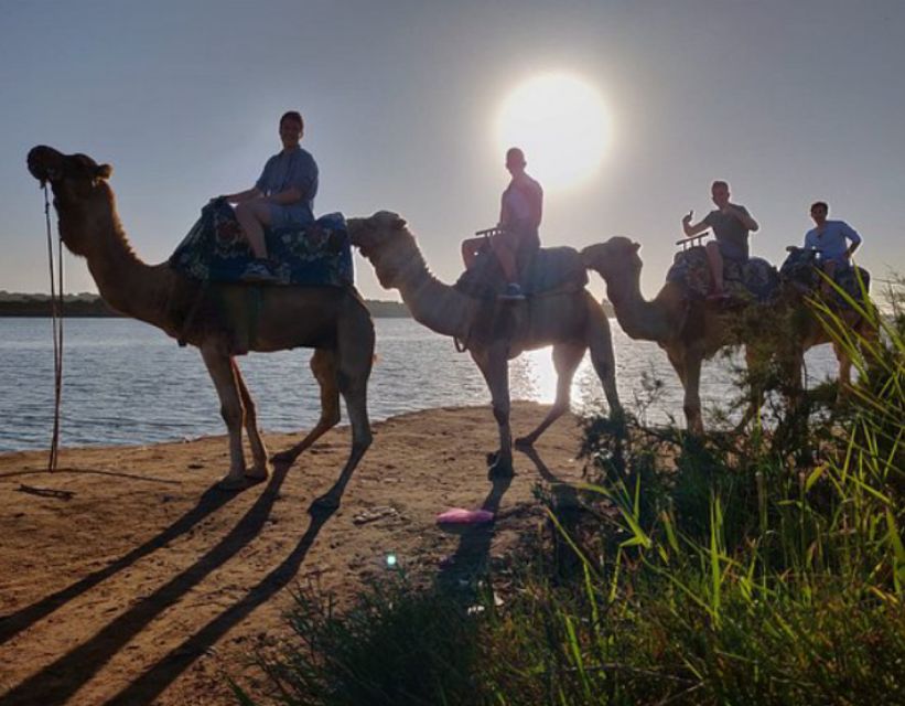 Agadir Camel Ride Flamingo River & Couscous With BBQ Dinner - Inclusions and Highlights