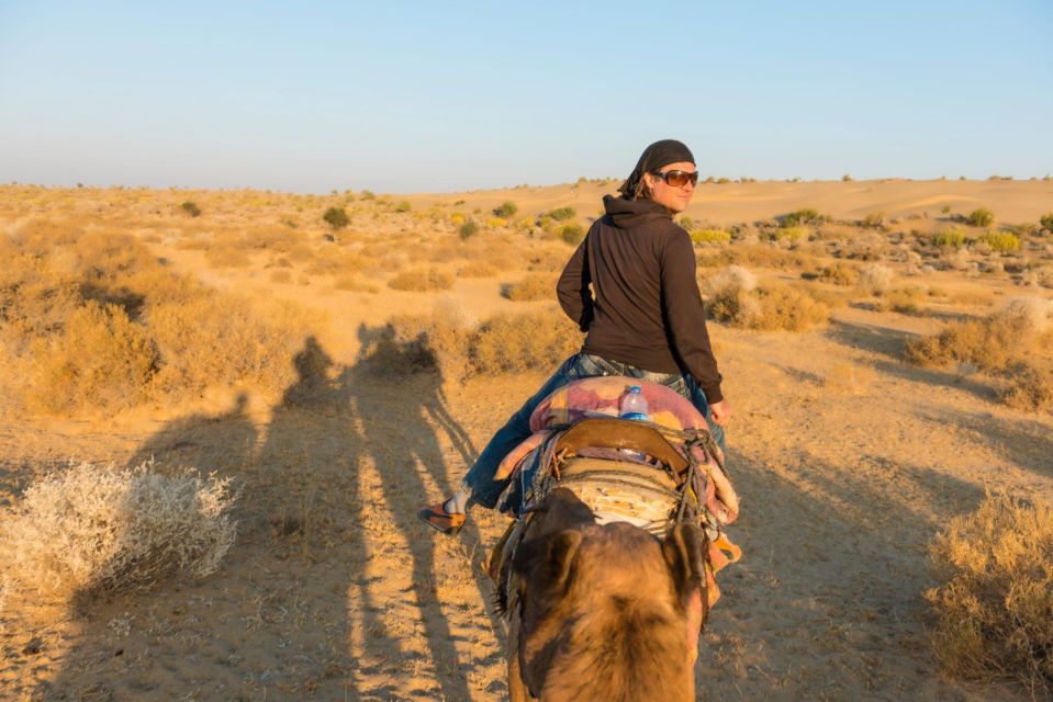 Agadir: Camel Ride With Tea & BBQ Dinner Option - Highlights