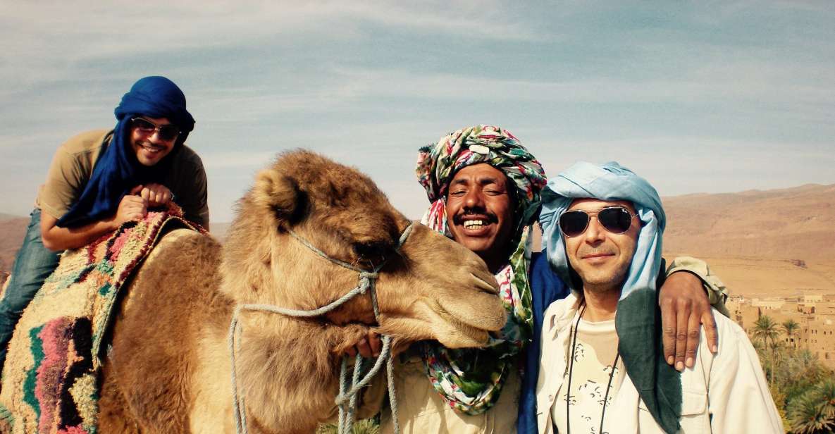 Agadir: Camel Riding Adventure With Authentic Moroccan Lunch - Inclusions