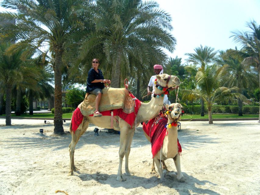 Agadir: Camel Riding Adventure With Authentic Moroccan Lunch - Inclusions